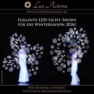 LED Lichtshow für Weihnachtsfeiern